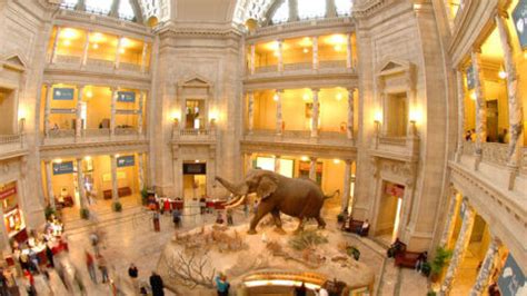 Visitors Guide for the Smithsonian Museum of Natural History