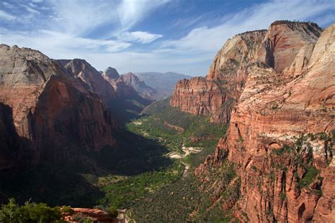 The Wildlife of Zion National Park