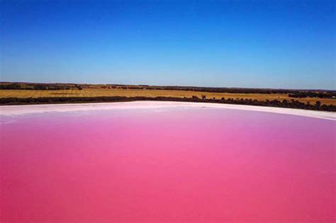 Mystery of pink lake solved – strange reason for stunning colour-changing water discovered ...