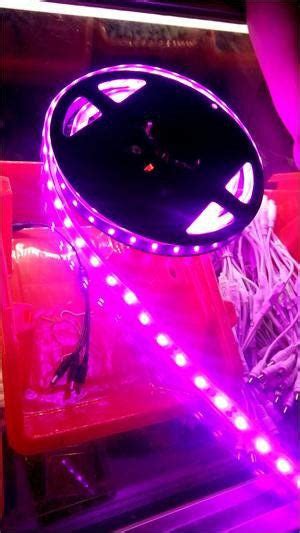 5050SMD NovaBright Pink Flexible Waterproof LED Light Strip 16 Ft Reel – HOLLYWOOD LEDS