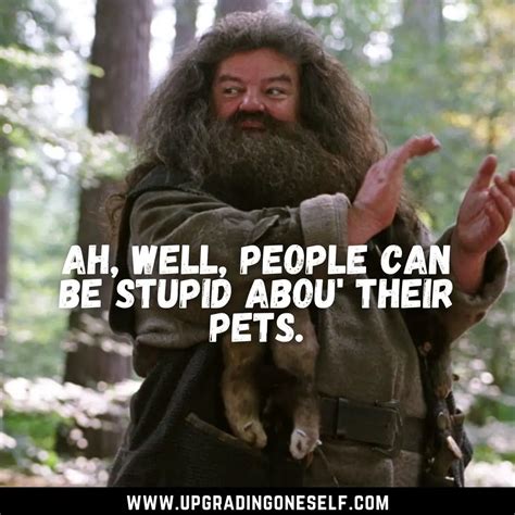 Top 15 Epic Quotes From Hagrid That Will Blow Your Mind