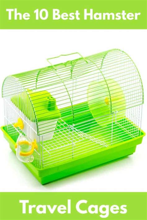 The 10 Best Hamster Travel Cages – Hamsters101.com