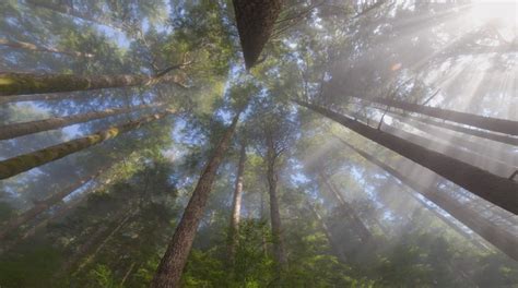 This 4K Time Lapse Will Make You Fall In Love With Nature All Over Again