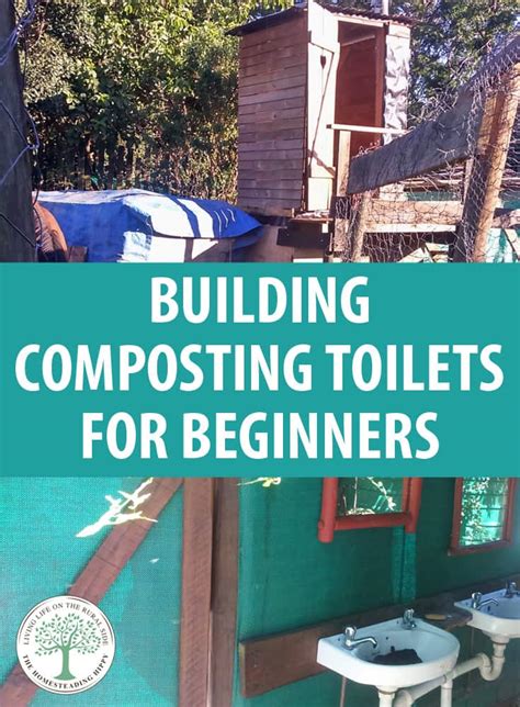 How To Build a Composting Toilet (+ Best Practices)