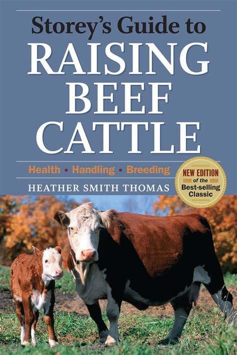 Feeding Beef Cattle: Tips for a Healthy, Pasture-Based Diet | Mother Earth News | Beef cattle ...