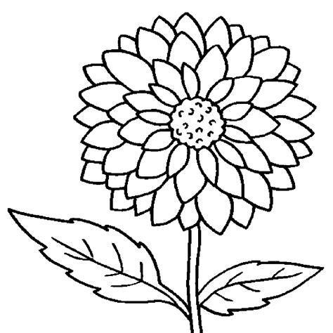 Big Flowers Drawing at GetDrawings | Free download