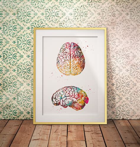 Human Brain Anatomy Poster Medical Science Watercolor Digital | Etsy