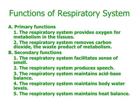 Respiratory system slide show