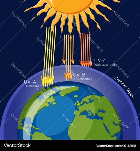 Ozone layer protection from ultraviolet radiation Vector Image