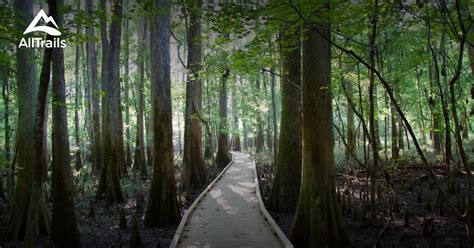 Best Trails in Congaree National Park | AllTrails