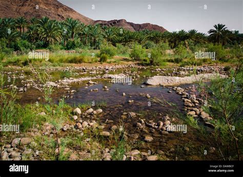 the river draa Stock Photo - Alamy