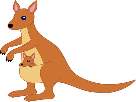 Kangaroos clipart 20 free Cliparts | Download images on Clipground 2024