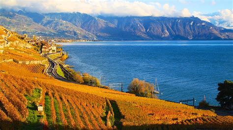 Wine Tasting in the Lake Geneva Region of Switzerland