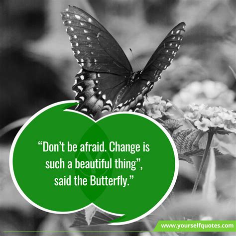 55 Quotes About Butterfly, Quotes For Butterfly - Happily Evermindset