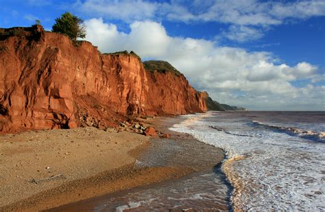 Advanced Fossil Event at Calvert Cliffs – Natural History Society of ...