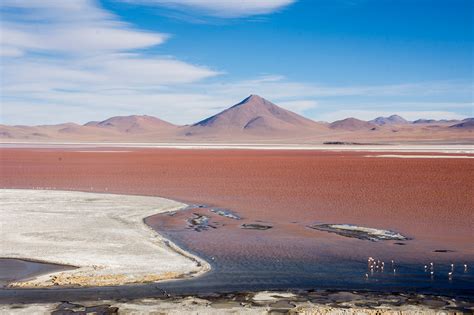 Laguna colorada on Behance