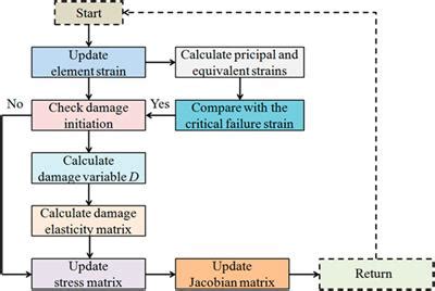 Frontiers | Biomechanical evaluation of different strain judging ...