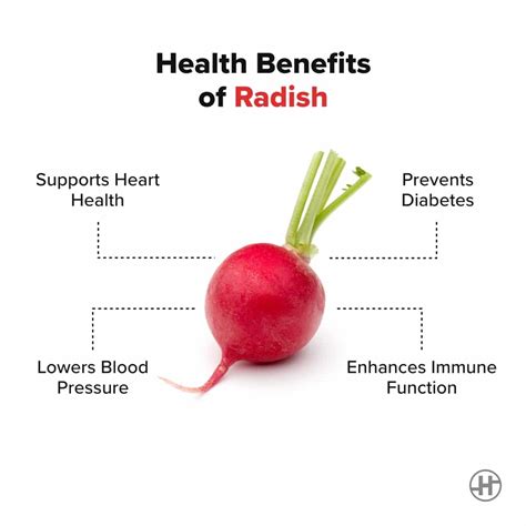 Radish - Benefits, Nutrition Value, & Recipes - HealthifyMe