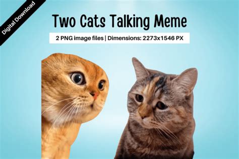 Two Cats Talking Meme Graphic by Pixtordesigns · Creative Fabrica