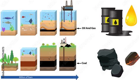 oil and gas formation diagram vector illustration, coal formation process illustration, coal ...