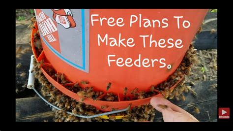 Free Plans How To Make Honeybee Bucket Feeder - YouTube | Free plan ...