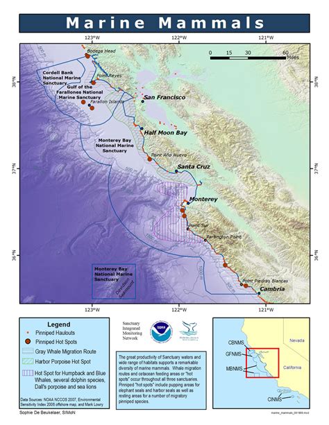 Marine Mammals: Overview – SIMoN