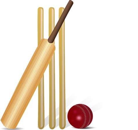 Collection of Cricket Bat PNG HD. | PlusPNG