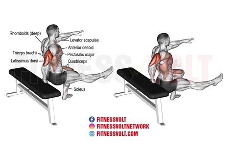 Seated Dips Benefits | Cabinets Matttroy