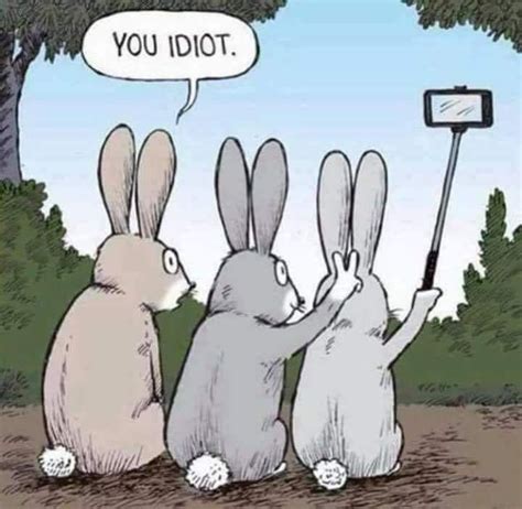 How can a bunny do bunny ears on a bunny 🤨 (With images) | Funny cartoon pictures, Funny puns ...