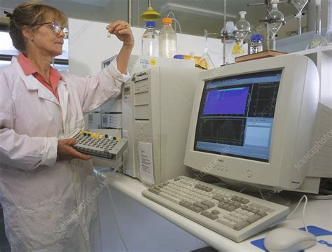 Processing pyrethrum - Stock Image - T875/1201 - Science Photo Library