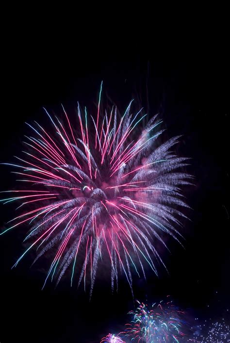 Photo of firework burst purple | Free christmas images