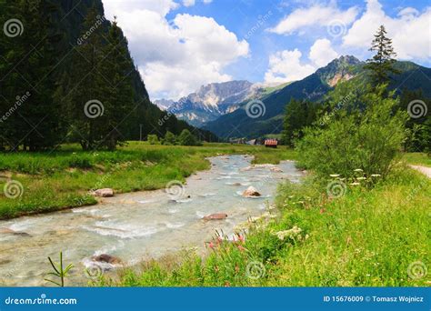 Mountain River Flows Through Green Valley Royalty Free Stock Images ...