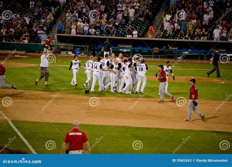 Sacramento River Cats editorial stock photo. Image of field - 5965363