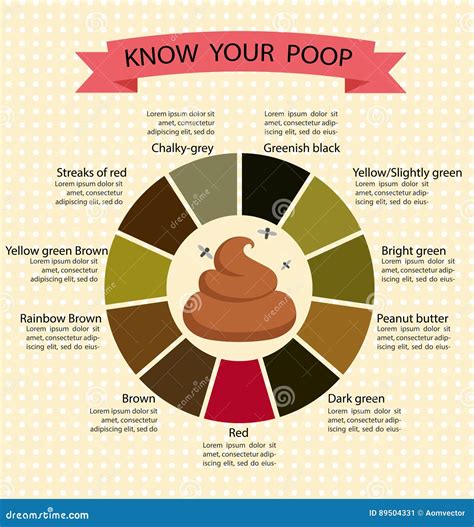 Adult Human Poop Chart Stool Color