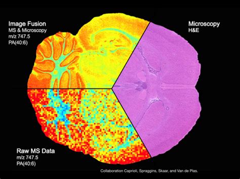 Ion Mobility Mass Spectrometry - Thematische Technologie Transfer