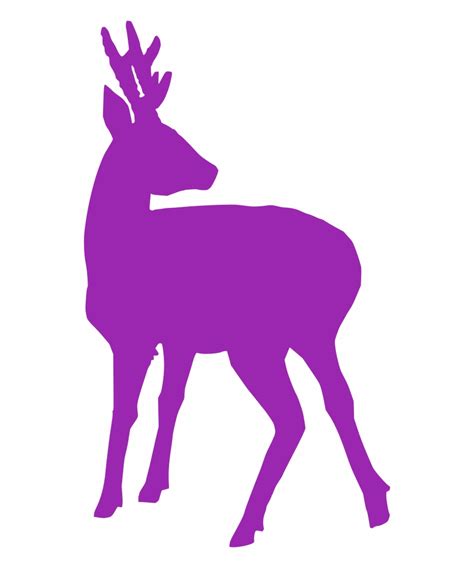 Clip Free Stock Deer Fawn Free Image Icon - Clip Art Library