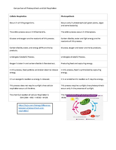 Comparison of Energy - Compare and Contrast Photosynthesis and ...