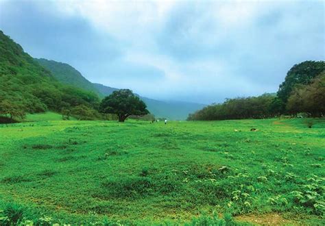 Salalah Khareef Festival • FACES Oman