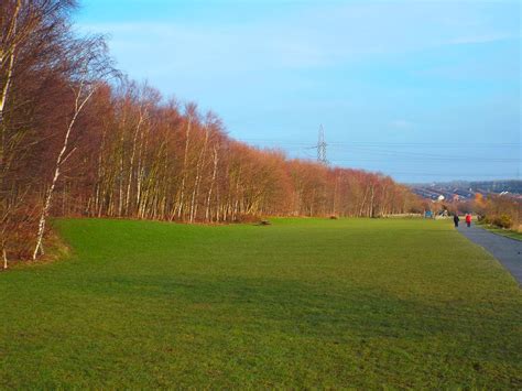 Photographs Of Newcastle: Newburn - Tyne Riverside Country Park - January 2015