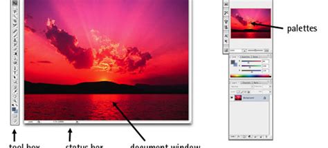 35 Photoshop Basics Tutorials To Get You Started | WebFX