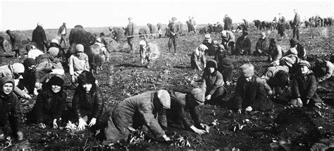 How Joseph Stalin Starved Millions in the Ukrainian Famine | HISTORY