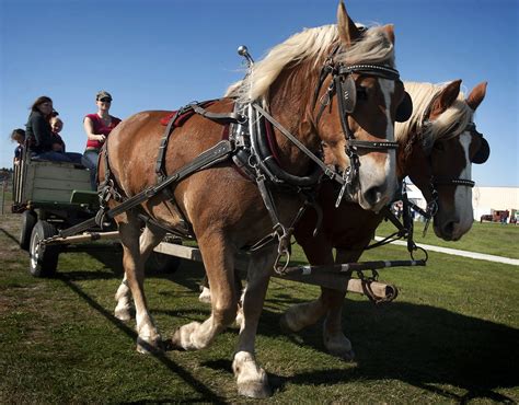 oktoberfest9_151009 | Festivalgoers enjoy an autumn wagon ri… | Flickr