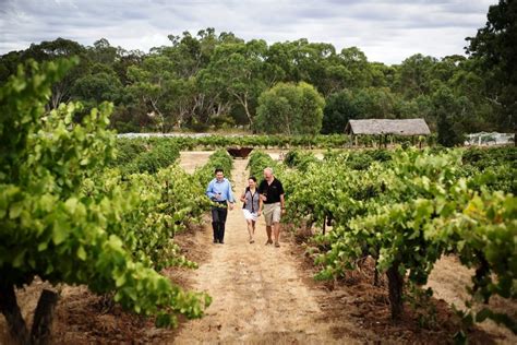 LANGMEIL WINERY Old Vine Experience, Barossa 2019 | Langton's Fine Wines