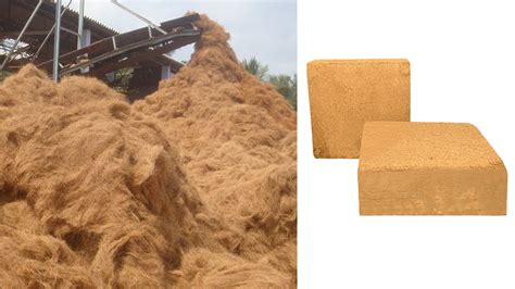 Coir Pith Exporters in India | Coir Pith Traders in India | Coir Pith Dealers in India | Coir ...