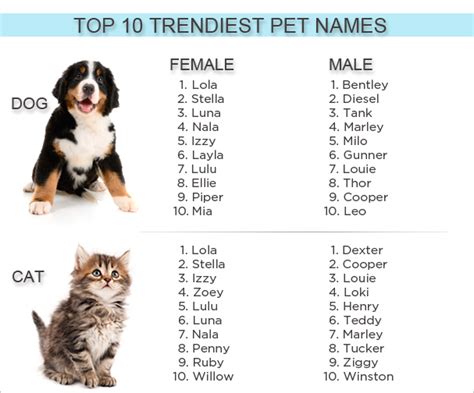 LankaVet: List of Names for Dogs