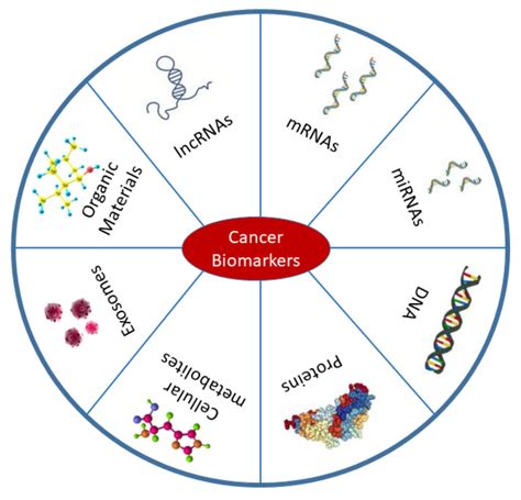 Types of cancer biomarkers. Biomarkers are mostly found in body fluids... | Download Scientific ...