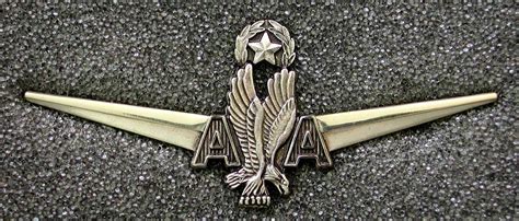 American Airlines (AA) Chief Pilot or Check Captain – Wing Collector