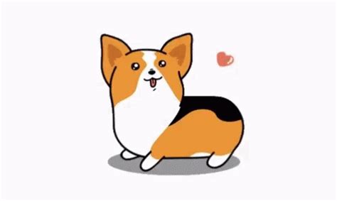 Corgi GIFs | GIFDB.com