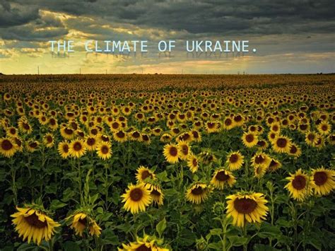 презентація The climate of ukraine