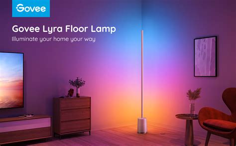 Govee RGBIC Floor Lamp, Lyra Color Changing Modern Corner Lamp with WiFi App Control, 64+ Scene ...